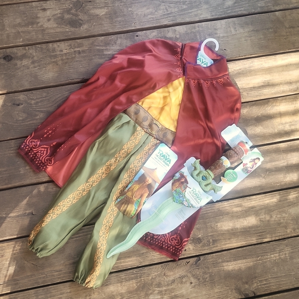 Disney's Raya costume